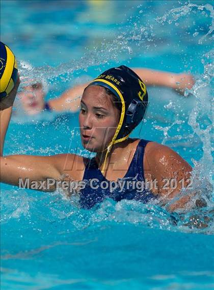 Thumbnail 3 in Poly vs. Warren (CIF SS D6 Final) photogallery.