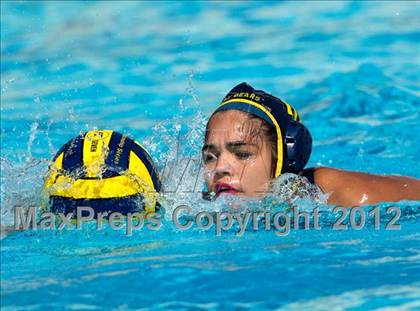Thumbnail 2 in Poly vs. Warren (CIF SS D6 Final) photogallery.