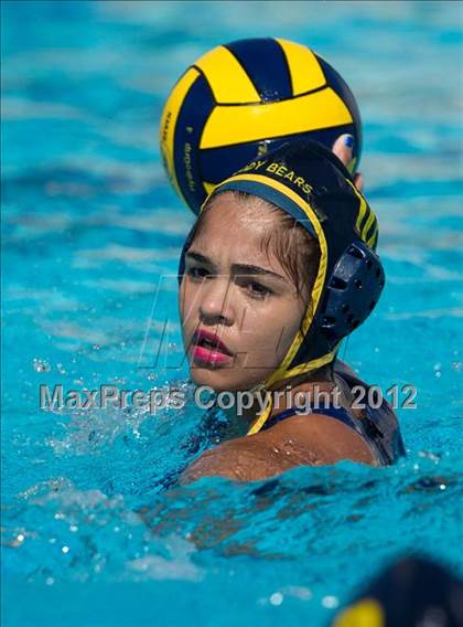 Thumbnail 1 in Poly vs. Warren (CIF SS D6 Final) photogallery.