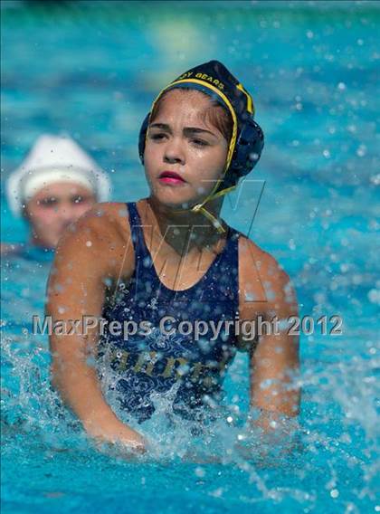 Thumbnail 3 in Poly vs. Warren (CIF SS D6 Final) photogallery.