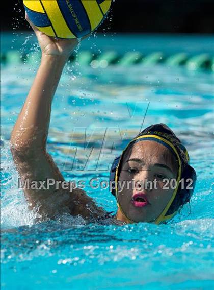 Thumbnail 2 in Poly vs. Warren (CIF SS D6 Final) photogallery.
