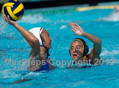 Thumbnail 3 in Poly vs. Warren (CIF SS D6 Final) photogallery.
