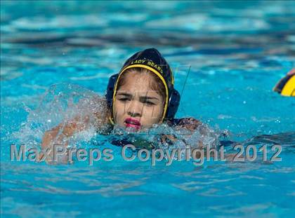 Thumbnail 3 in Poly vs. Warren (CIF SS D6 Final) photogallery.
