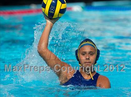 Thumbnail 2 in Poly vs. Warren (CIF SS D6 Final) photogallery.