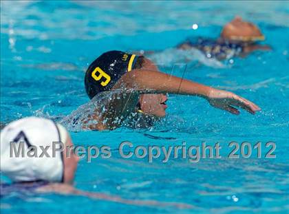 Thumbnail 3 in Poly vs. Warren (CIF SS D6 Final) photogallery.