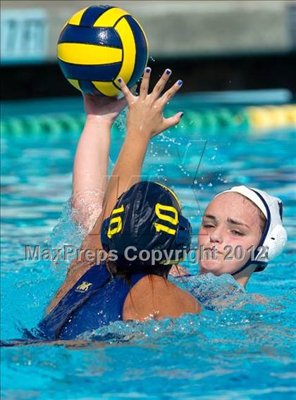Thumbnail 2 in Poly vs. Warren (CIF SS D6 Final) photogallery.