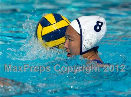 Thumbnail 3 in Poly vs. Warren (CIF SS D6 Final) photogallery.