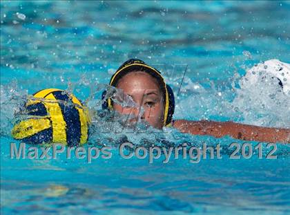 Thumbnail 1 in Poly vs. Warren (CIF SS D6 Final) photogallery.