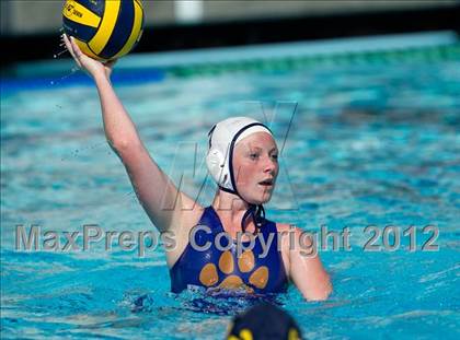 Thumbnail 1 in Poly vs. Warren (CIF SS D6 Final) photogallery.