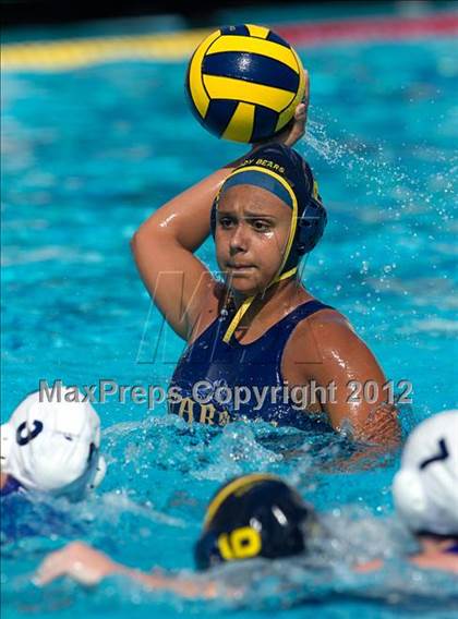 Thumbnail 1 in Poly vs. Warren (CIF SS D6 Final) photogallery.
