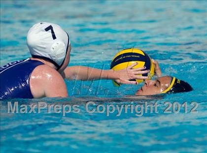 Thumbnail 1 in Poly vs. Warren (CIF SS D6 Final) photogallery.