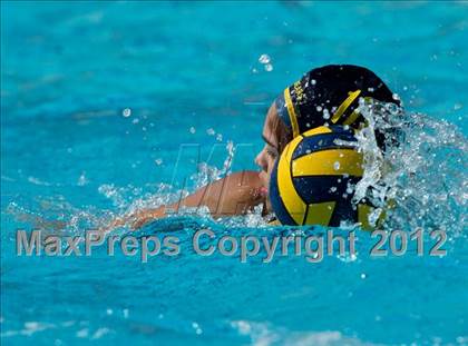 Thumbnail 2 in Poly vs. Warren (CIF SS D6 Final) photogallery.
