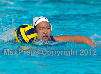 Thumbnail 1 in Poly vs. Warren (CIF SS D6 Final) photogallery.
