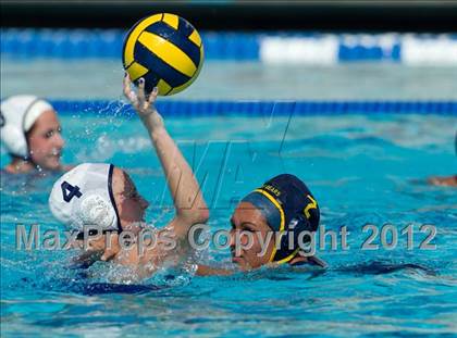 Thumbnail 2 in Poly vs. Warren (CIF SS D6 Final) photogallery.