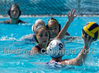 Thumbnail 1 in Poly vs. Warren (CIF SS D6 Final) photogallery.