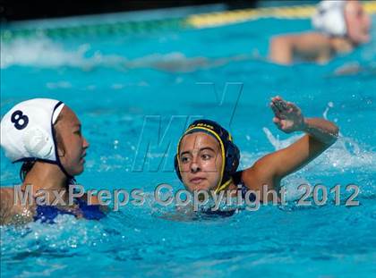 Thumbnail 2 in Poly vs. Warren (CIF SS D6 Final) photogallery.