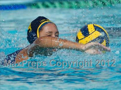 Thumbnail 2 in Poly vs. Warren (CIF SS D6 Final) photogallery.