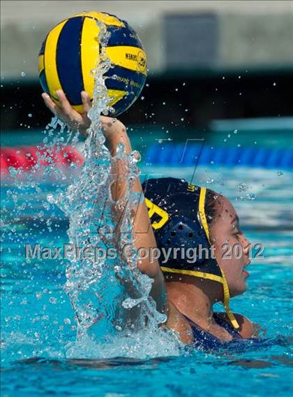 Thumbnail 3 in Poly vs. Warren (CIF SS D6 Final) photogallery.