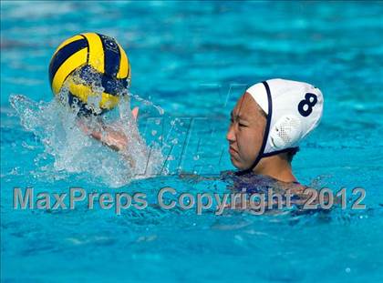 Thumbnail 2 in Poly vs. Warren (CIF SS D6 Final) photogallery.