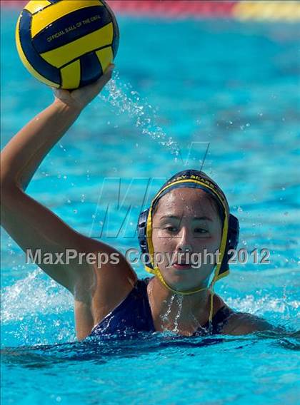 Thumbnail 2 in Poly vs. Warren (CIF SS D6 Final) photogallery.