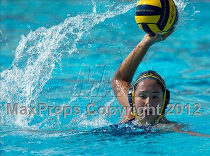 Thumbnail 1 in Poly vs. Warren (CIF SS D6 Final) photogallery.