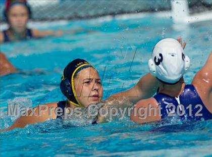Thumbnail 2 in Poly vs. Warren (CIF SS D6 Final) photogallery.