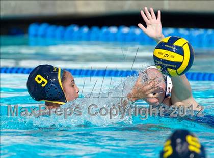Thumbnail 2 in Poly vs. Warren (CIF SS D6 Final) photogallery.