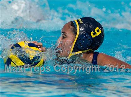 Thumbnail 2 in Poly vs. Warren (CIF SS D6 Final) photogallery.