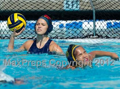 Thumbnail 2 in Poly vs. Warren (CIF SS D6 Final) photogallery.