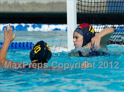Thumbnail 1 in Poly vs. Warren (CIF SS D6 Final) photogallery.