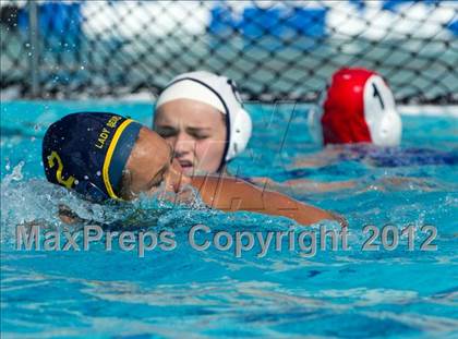 Thumbnail 2 in Poly vs. Warren (CIF SS D6 Final) photogallery.