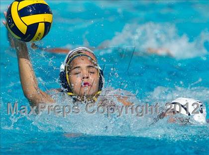 Thumbnail 3 in Poly vs. Warren (CIF SS D6 Final) photogallery.