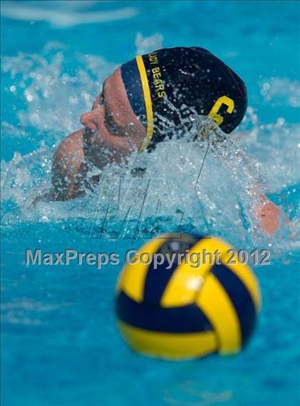 Thumbnail 2 in Poly vs. Warren (CIF SS D6 Final) photogallery.