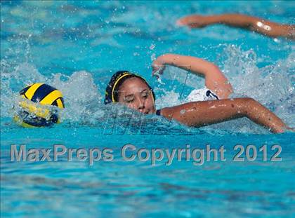 Thumbnail 3 in Poly vs. Warren (CIF SS D6 Final) photogallery.