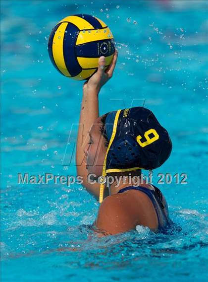 Thumbnail 3 in Poly vs. Warren (CIF SS D6 Final) photogallery.