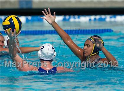 Thumbnail 3 in Poly vs. Warren (CIF SS D6 Final) photogallery.