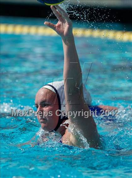 Thumbnail 1 in Poly vs. Warren (CIF SS D6 Final) photogallery.