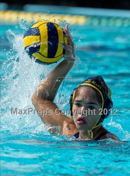 Thumbnail 3 in Poly vs. Warren (CIF SS D6 Final) photogallery.