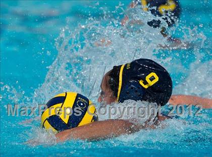 Thumbnail 2 in Poly vs. Warren (CIF SS D6 Final) photogallery.