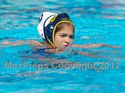 Thumbnail 2 in Poly vs. Warren (CIF SS D6 Final) photogallery.