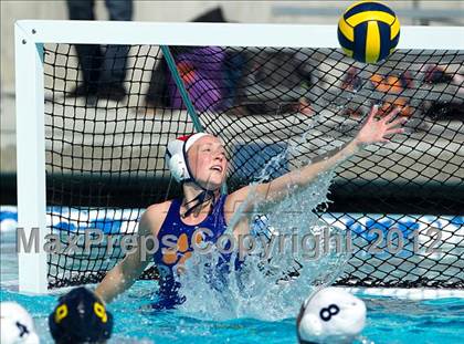 Thumbnail 3 in Poly vs. Warren (CIF SS D6 Final) photogallery.