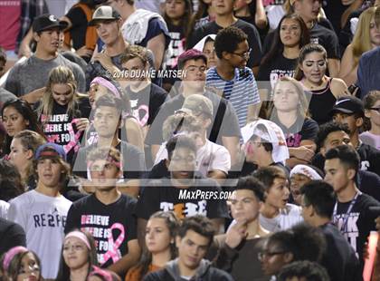 Thumbnail 1 in East View @ Hutto photogallery.
