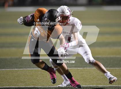 Thumbnail 1 in East View @ Hutto photogallery.