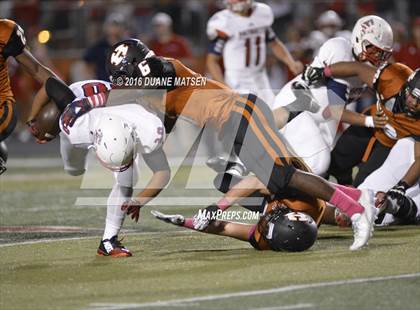 Thumbnail 2 in East View @ Hutto photogallery.