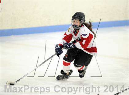 Thumbnail 1 in Hand @ Branford (SCC Division II Semifinal) photogallery.
