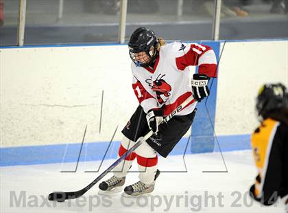 Thumbnail 1 in Hand @ Branford (SCC Division II Semifinal) photogallery.