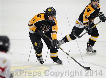 Thumbnail 1 in Hand @ Branford (SCC Division II Semifinal) photogallery.