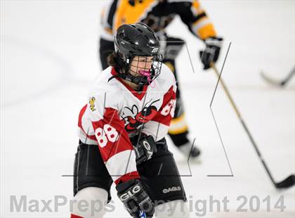 Thumbnail 1 in Hand @ Branford (SCC Division II Semifinal) photogallery.