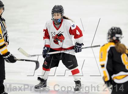 Thumbnail 2 in Hand @ Branford (SCC Division II Semifinal) photogallery.