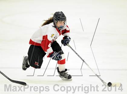 Thumbnail 1 in Hand @ Branford (SCC Division II Semifinal) photogallery.